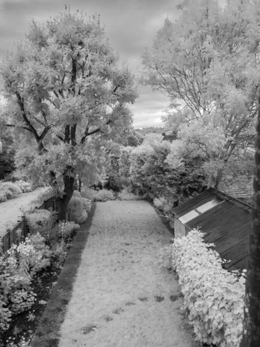 A garden in near infrared